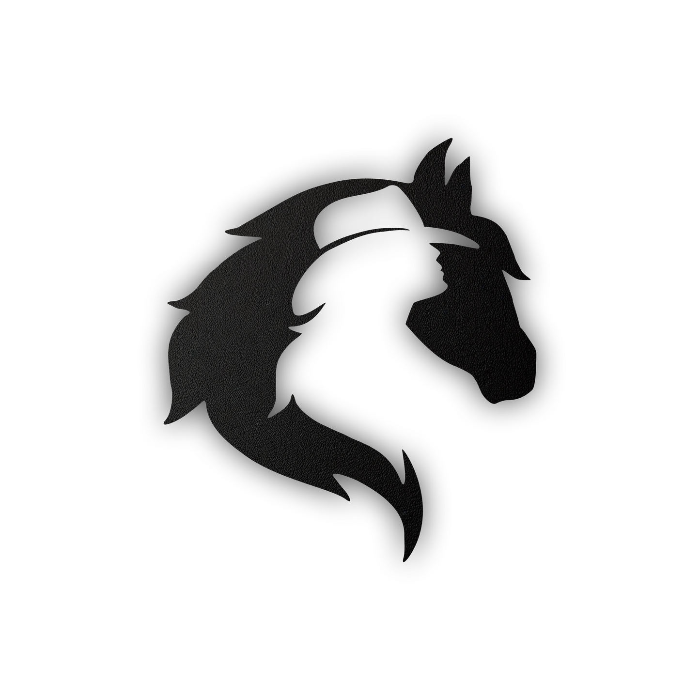 Horse Girl Metal Wall Sign